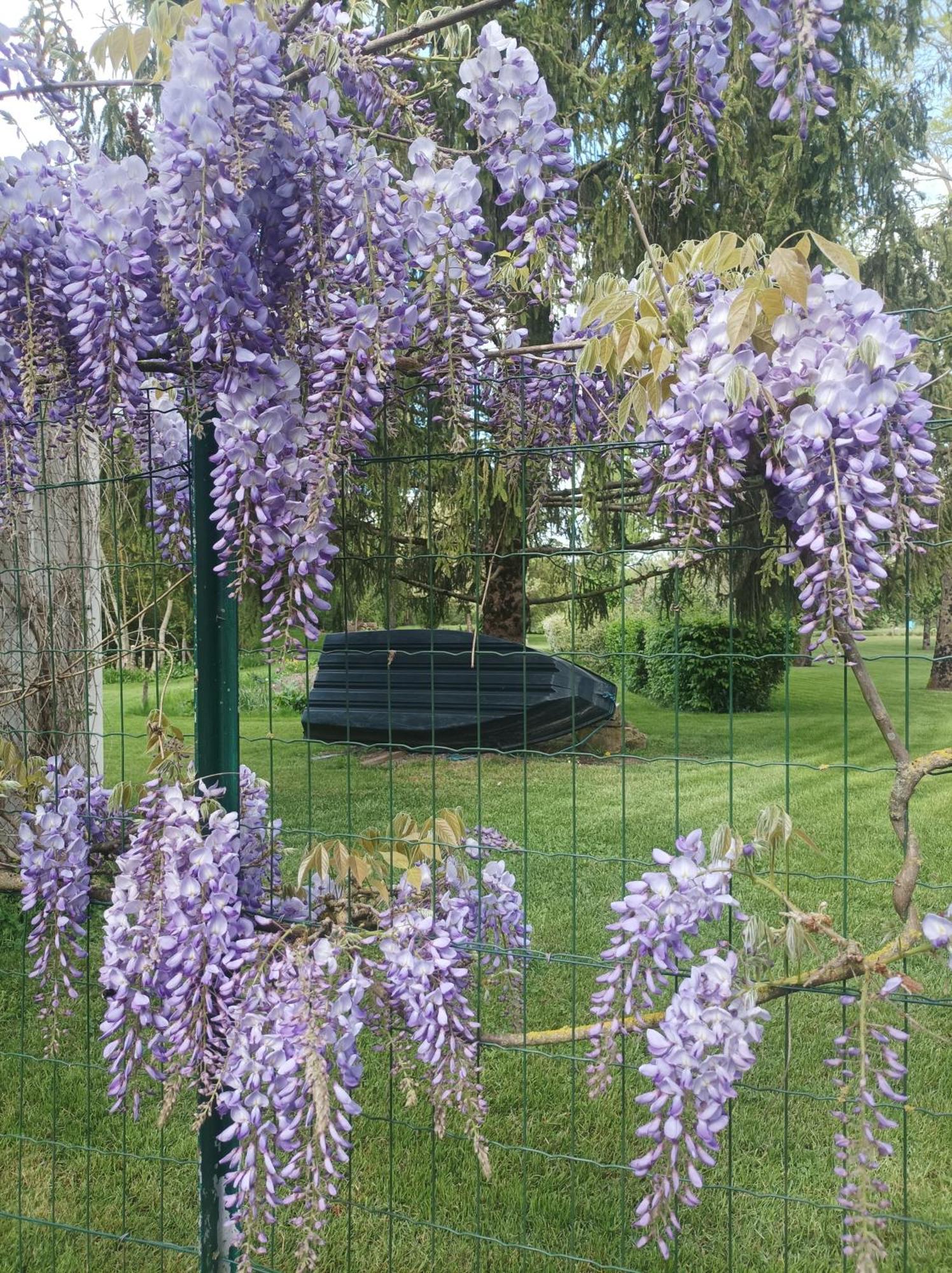 Le Logis De Lange Apt Les Aigrettes Saint-Hilaire-la-Palud Экстерьер фото